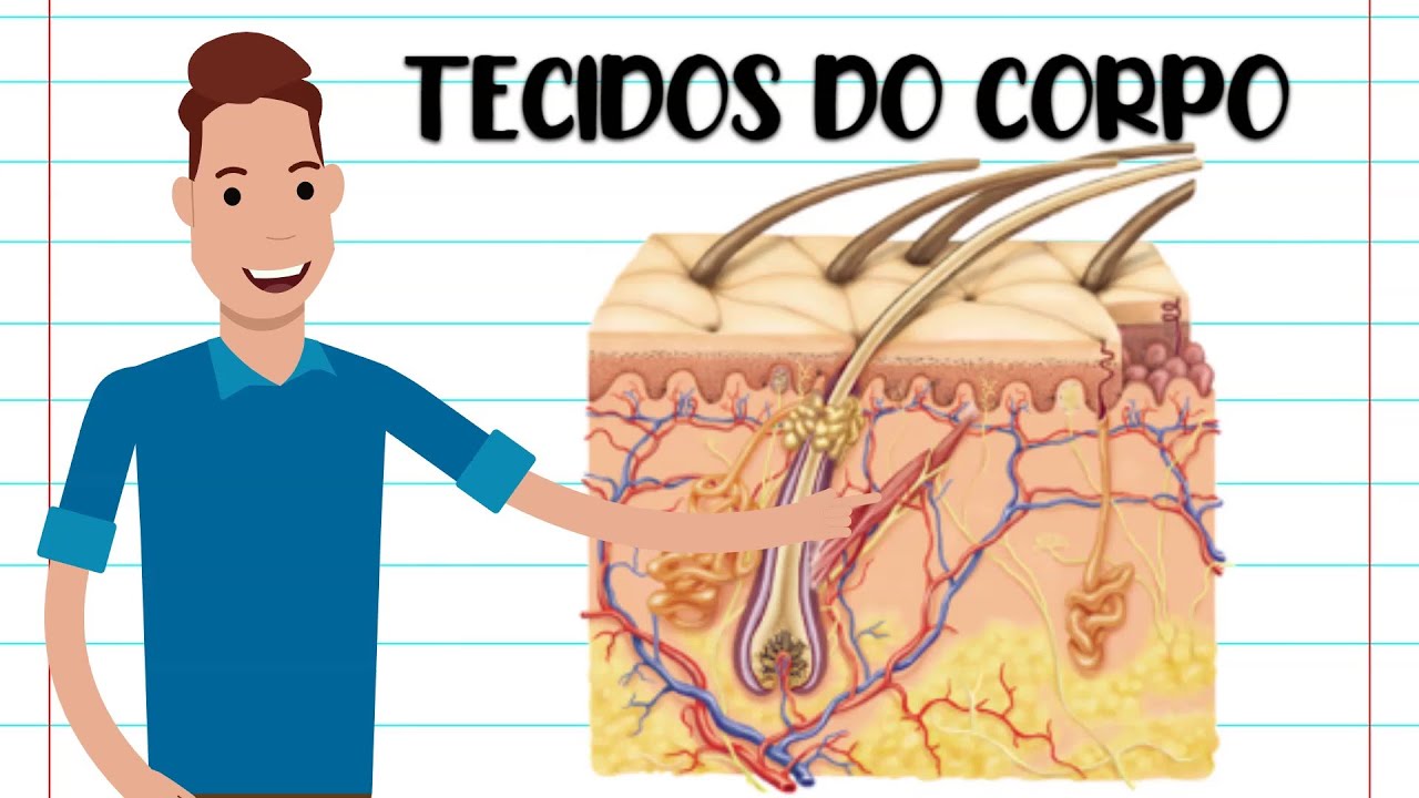 TECIDOS DO CORPO HUMANO - RESUMO