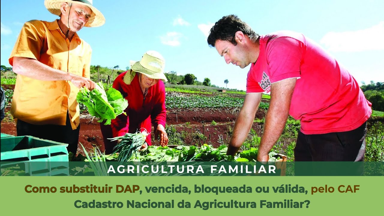 Como substituir DAP, vencida, bloqueada ou válida, pelo CAF.