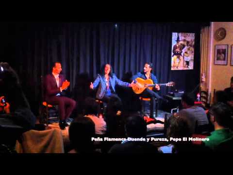 Actuación de la Kaita en Casa Patas