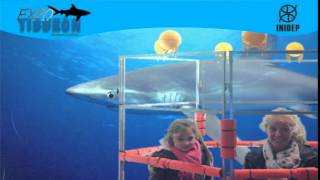 DIA 2 Expo Tiburon288