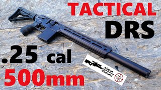 FX DRS Tactical Review (.25 caliber) This 500mm AR-15 Clone is AWESOME!