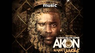 12 - Akon Slow Motion feat Money J.wmv