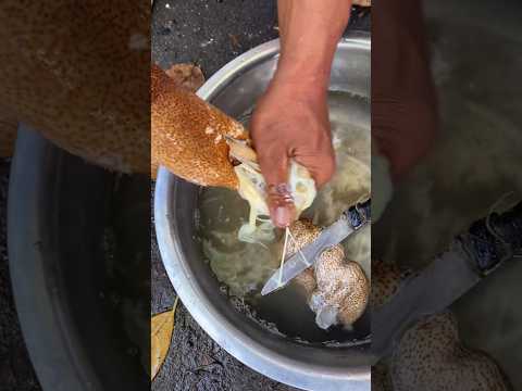 Sea Cucumber Cleaning 101 | How to Prep for Grilled, Stuffed, or Boiled Seafood Delights 🐙🔥