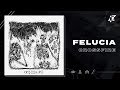 Felucia - Crossfire (Lyric Video)