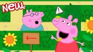 Peppa Pig Tales 🌳 The Very Tricky Hedge Maze! �