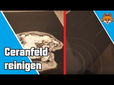Ceranfeld reinigen - Eingebrannte Flecken schnell entfernen 🎛✅