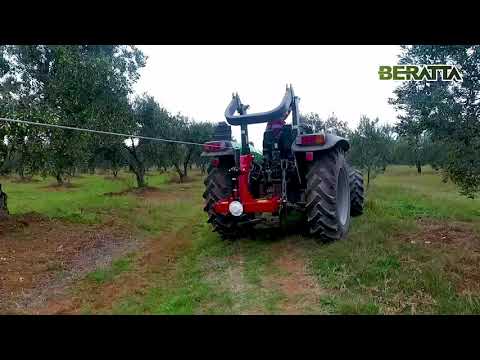 Olive Harvesting with the BERATTA Tree Shaker
