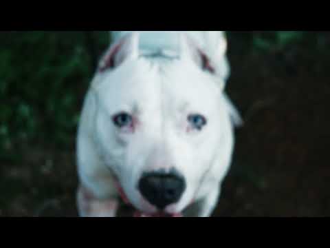 KP The Great - I Know The Hate (LandLord Film)