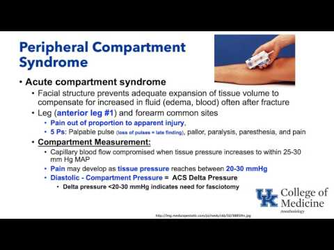 Keyword Review: Ortho and Fluids - Dr. Schell