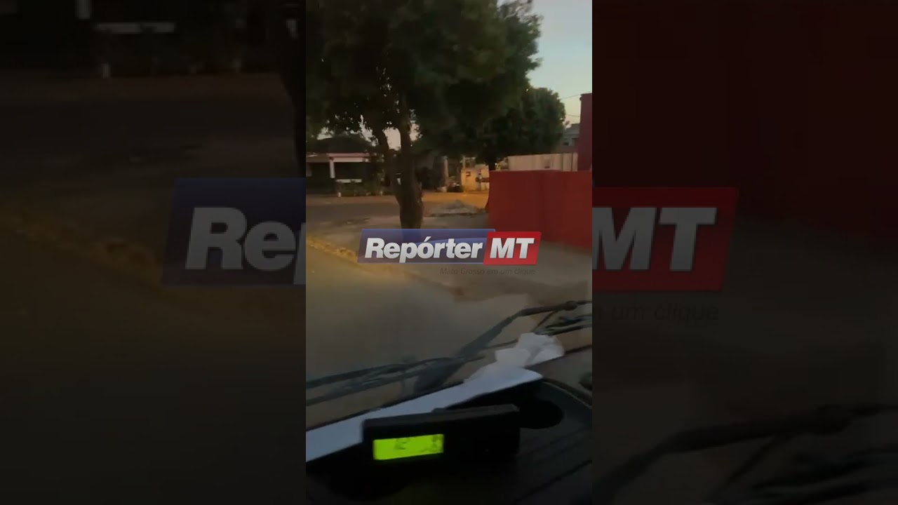 Watch Now Garotas de Programa Sorriso 1 Garotas de Programa Sorriso 1