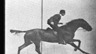 Tom Waits Project - Valuta