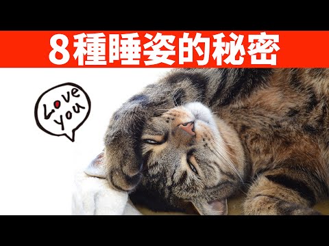 姿 意思