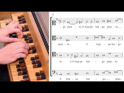 Vicentino: "Madonna il poco dolce", Archicembalo solo