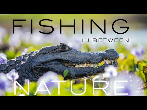 Wildlife at Pirá Lodge