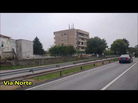 STCP 505 (Desvio em S. Mamede Infesta)