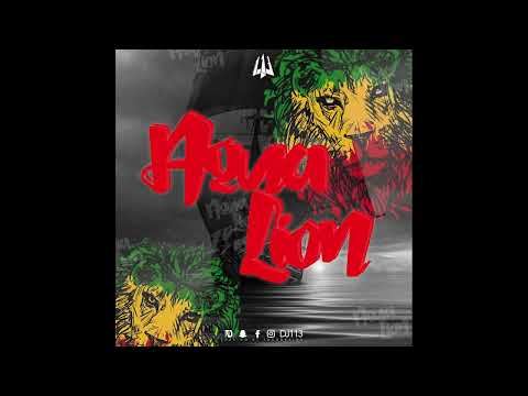 DJ 113 - AquaLion(OFFICIEL)