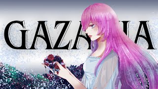- GAZANIA / 可不
