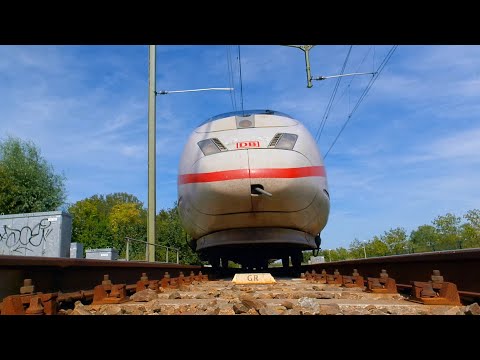 Tussen de rails in Schalkwijk (4 september 2023)