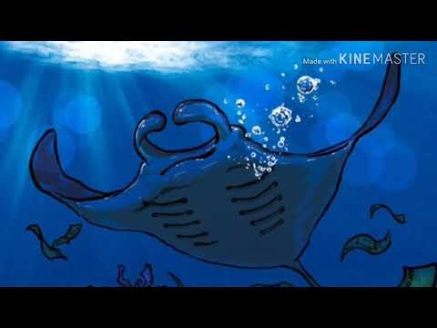 빈첸 신곡 앨범 떴다 빈첸 (Vinxen) - 액체 가사는 설명란