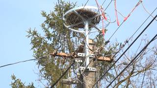 Biztonságos költőhelyek