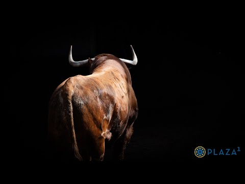 SORTEO | Toros de Garcigrande, corrida de Beneficencia