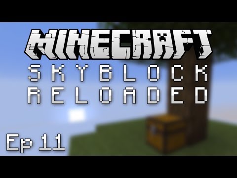 SkyBlock Reloaded - Part 11 - Friendly Neighbours