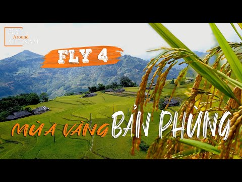 Mùa Vàng Ở Bản Phùng
