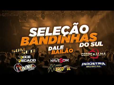 SELEÇÃO DE BANDINHAS DO SUL 2025