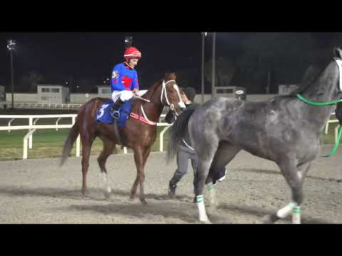 220703 c12 GRINGA LOCA