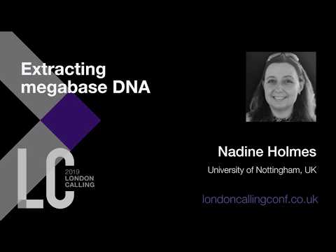 Extracting megabase DNA | Nadine Holmes
