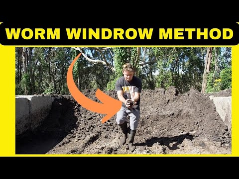 NEXT LEVEL WORM FARMING WITH WINDROWS!