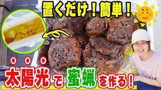 太陽光で蜜蝋を作ってみた！格安DIY太陽光製蝋器