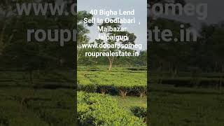  Residential Plot for Sale in Oodlabari, Jalpaiguri