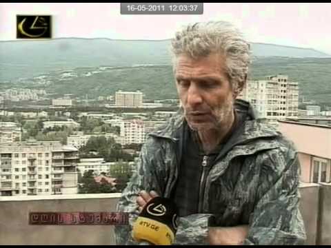 სიუჟეტი ძაღლების თავშესაფრებზე