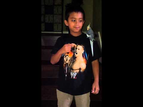 Aneeq dancing with his Cockatiel