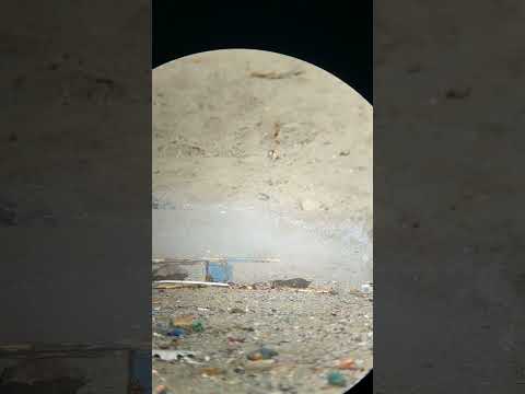 High Quality 30 Grain V-Max