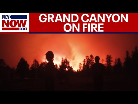 Video | Arizona wildfire destroys historic Grand Canyon Lodge, closes North Rim for the season