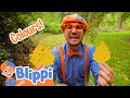 Learning Colors With Blippi Art Videos For Children Educational Videos For Kids