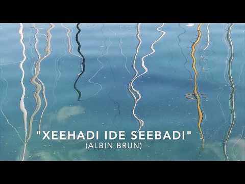 Albin Bruns NAH Quartett - Xeehadi ide Seebadi