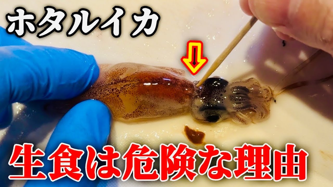 ホタルイカを食べる前に必ず見て下さい。