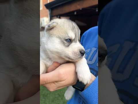 Kira x Ulryk 2024 ♥️