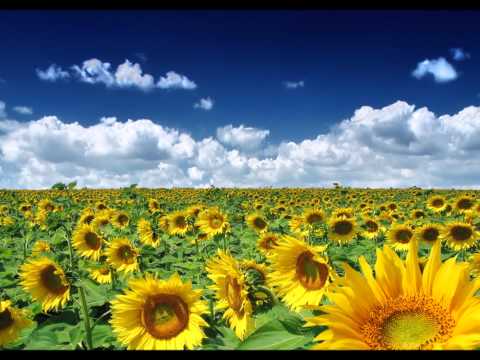 download lagu mp3 mp4 Minnie Riperton Simple Things, download lagu Minnie Riperton Simple Things gratis, unduh video klip Download Minnie Riperton Simple Things Mp3 dan Mp4 Youtube Gratis