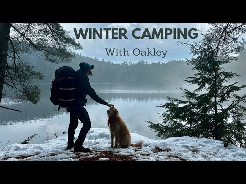 Solo winter camping with Oakley my dog - Lake side in the wilderness