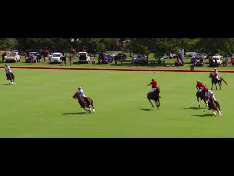 PoloLine TV -