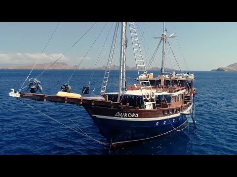Presenting Aurora Liveaboard in Indonesia