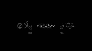 Download lagu Surah Al Insan Verse 18-22 | Peaceful Recitation 😌 mp3