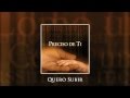 Quero Subir Diante Do Trono 04 CD Preciso De Ti