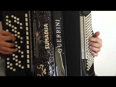 Pesma o harmonici Miodrag krnjevac by Dragan Zafirovic