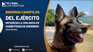 Binomios canófilos del Ejército refuerzan la vigilancia en carreteras de Guerrero