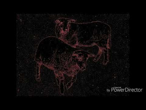 Ignición, Cautela & Grone Aukan - Al margen de la norma